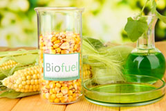Southampton biofuel availability